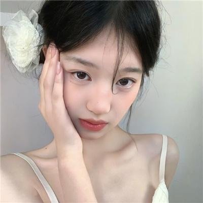 好血统封面